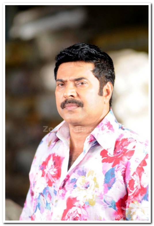 Actor Mammootty Photo 04