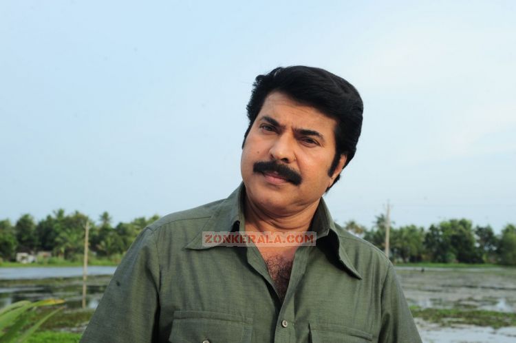 Actor Mammootty Picture 715