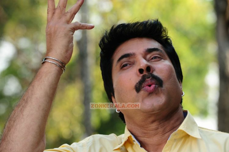 Malayalam Actor Mammootty 3812
