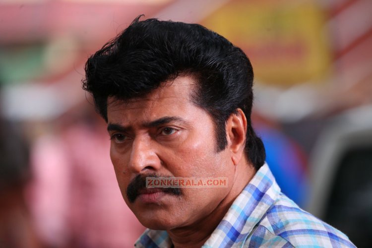 Malayalam Actor Mammootty 6206