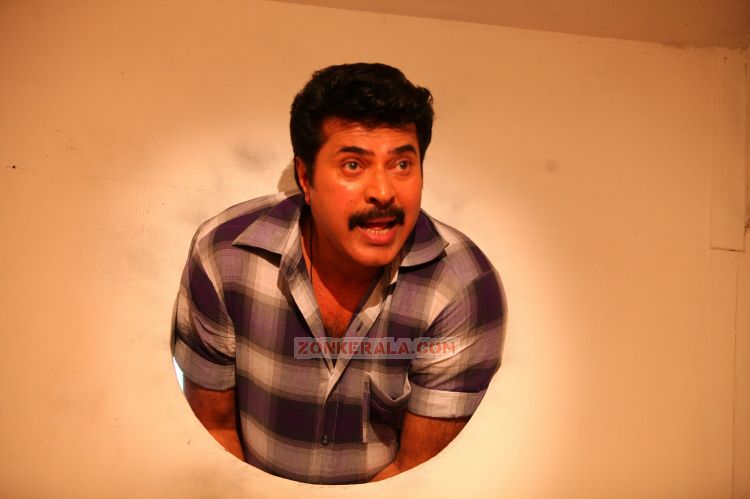 Malayalam Actor Mammootty 7034