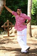 Mammootty Latest Photo 29