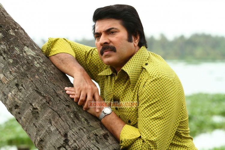 Mammootty Latest Photo 355