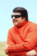 Mammootty Latest Photo 393