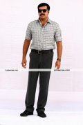 Mammootty Latest Stills 14