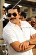 Mammootty New 2