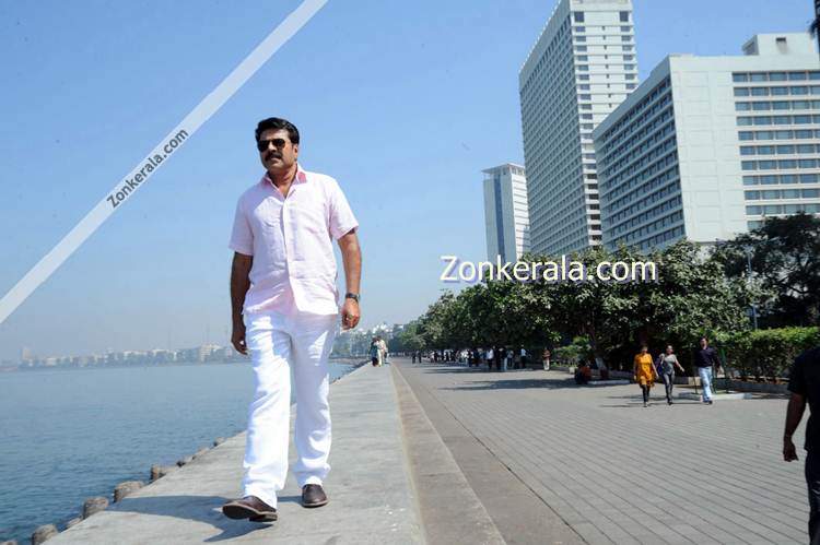 Mammootty New 7