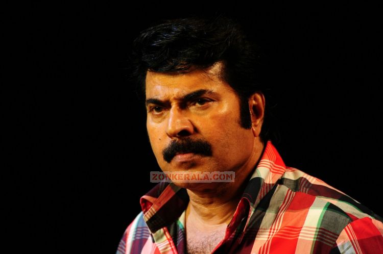 Mammootty Photo 471