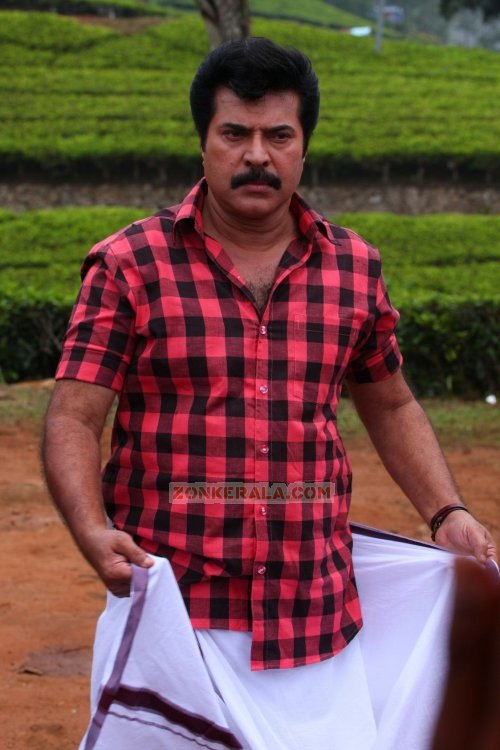 Mammootty Photos 1451