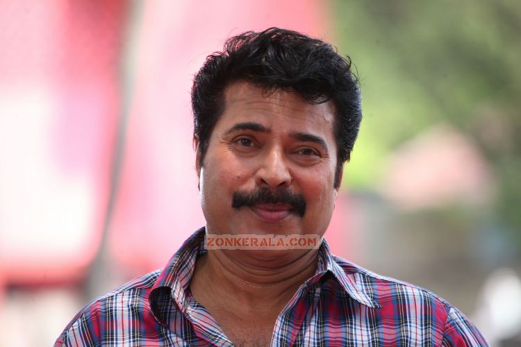 Mammootty Photos 733