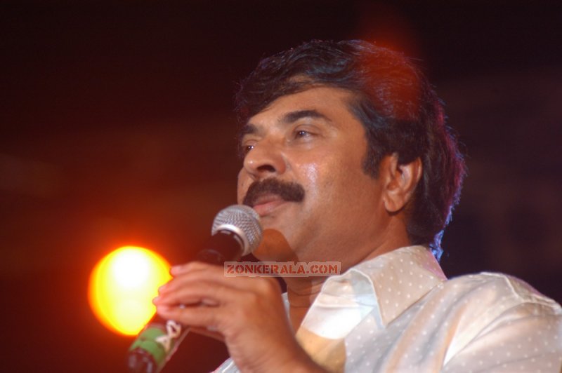 Mammootty Photos 8197