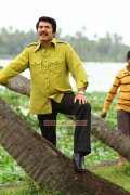 Mammootty Pic 511