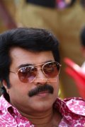 Mammootty Pic 520