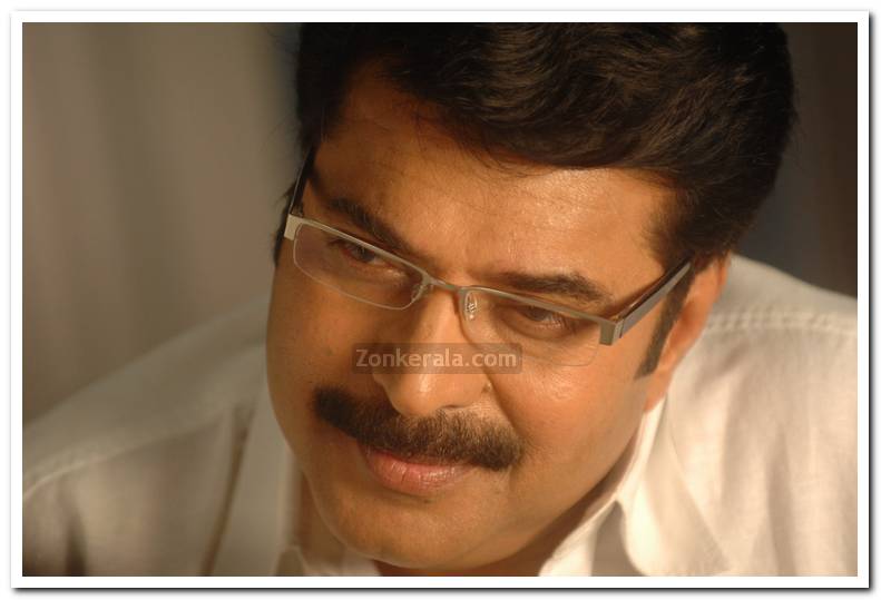 Mammootty Still 29