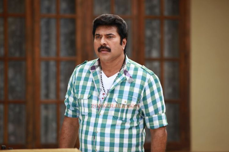 Mammootty Stills 8801