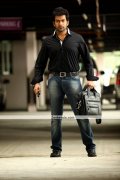 Actor Prithviraj Pics5