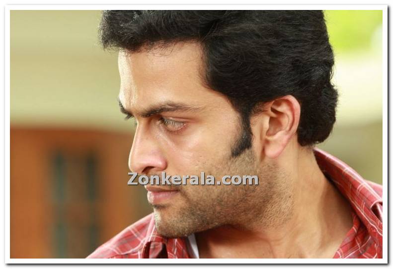 Malayalam Actor Prithviraj 49