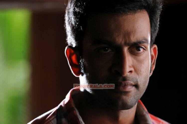 Malayalam Actor Prithviraj 947