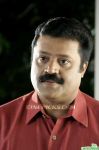 Actor Suresh Gopi 1