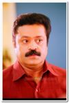 Suresh Gopi 8