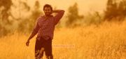 Malayalam Actor Unni Mukundan Photos 1778