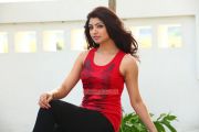 Aakansha Puri 6473