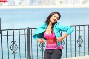 Aakansha Puri Stills 472