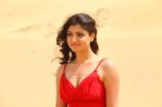 Malayalam Actress Aakansha Puri Photos 3165