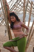 Actress Amala Paul Stills 6348