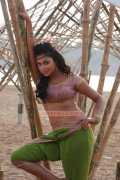 Actress Amala Paul Stills 6348