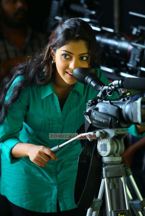 Amala Paul 7350