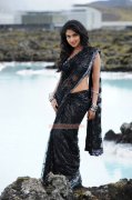 Amala Paul 77