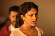 Amala Paul Photos 4984