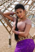 Amala Paul Photos 8568