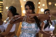 Amala Paul Photos 8760