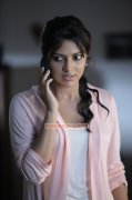 Amala Paul Photos 886