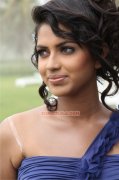 Amala Paul Pic 491