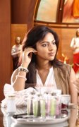 Malayalam Actress Amala Paul 8084