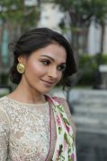 Andrea Jeremiah Malayalam Actress Recent Images 5562