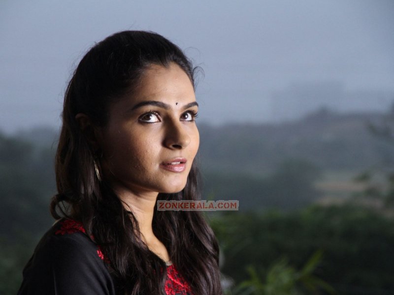 Andrea Jeremiah Photos 3269