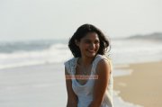 Andrea Jeremiah South Actress New Picture 5099