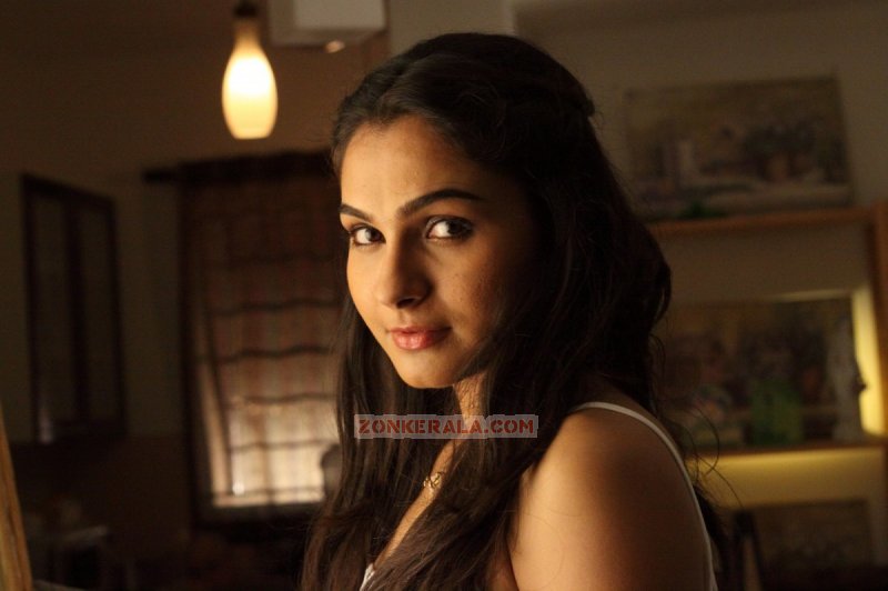 Recent Albums Malayalam Actress Andrea Jeremiah 7644