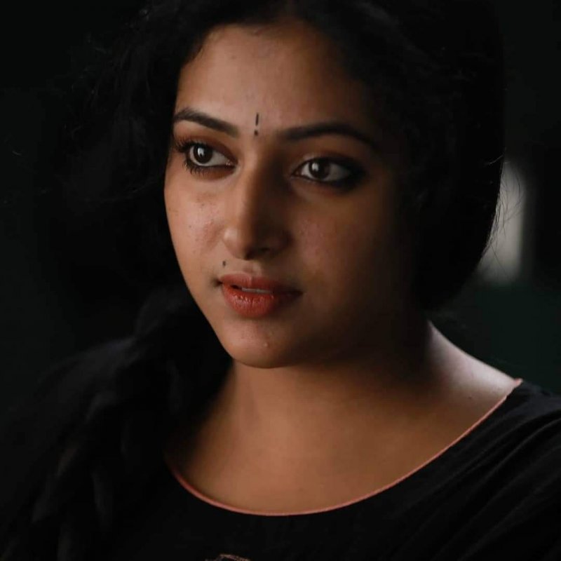 Anu Sithara Film Actress Recent Album 5221