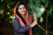 Recent Wallpapers Anu Sithara 8034