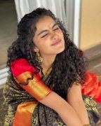 Anupama Parameswaran Movie Actress Recent Pictures 8817