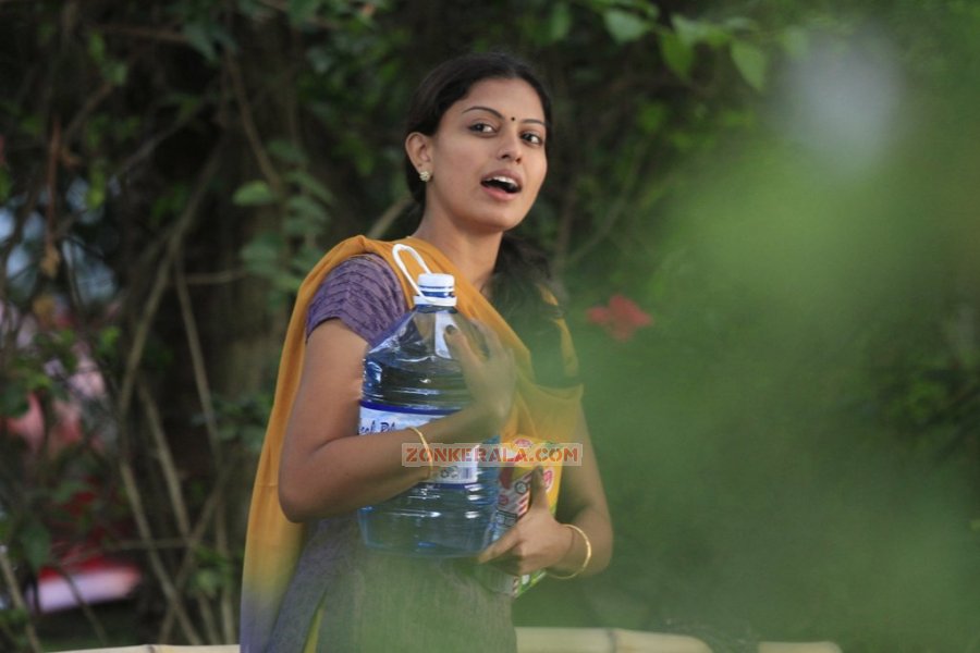 Actress Anusree Nair Photos 2249