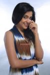 Malayalam Actress Archana Kavi Photos 8816