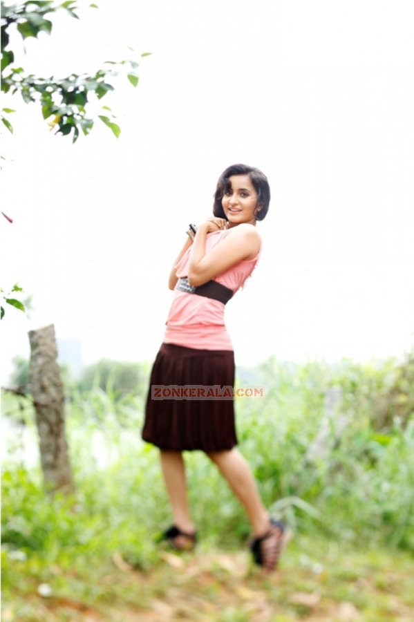 Bhama 6627