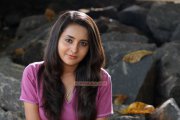 Bhama Photos 8126