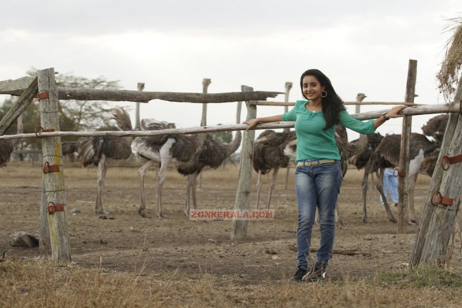 Bhama Stills 6552